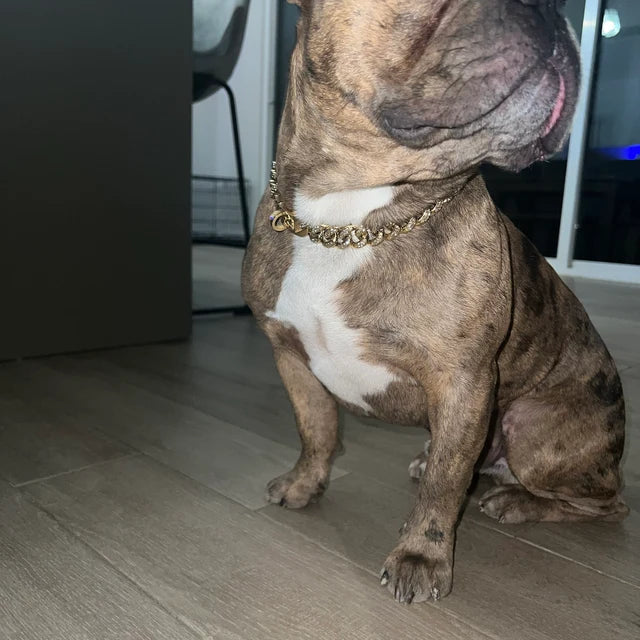 The Ares | Diamond Curb Collar