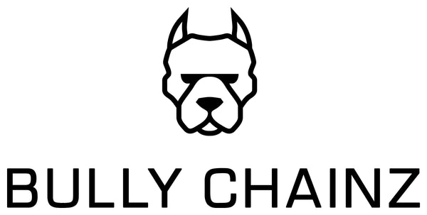 BULLY CHAINZ