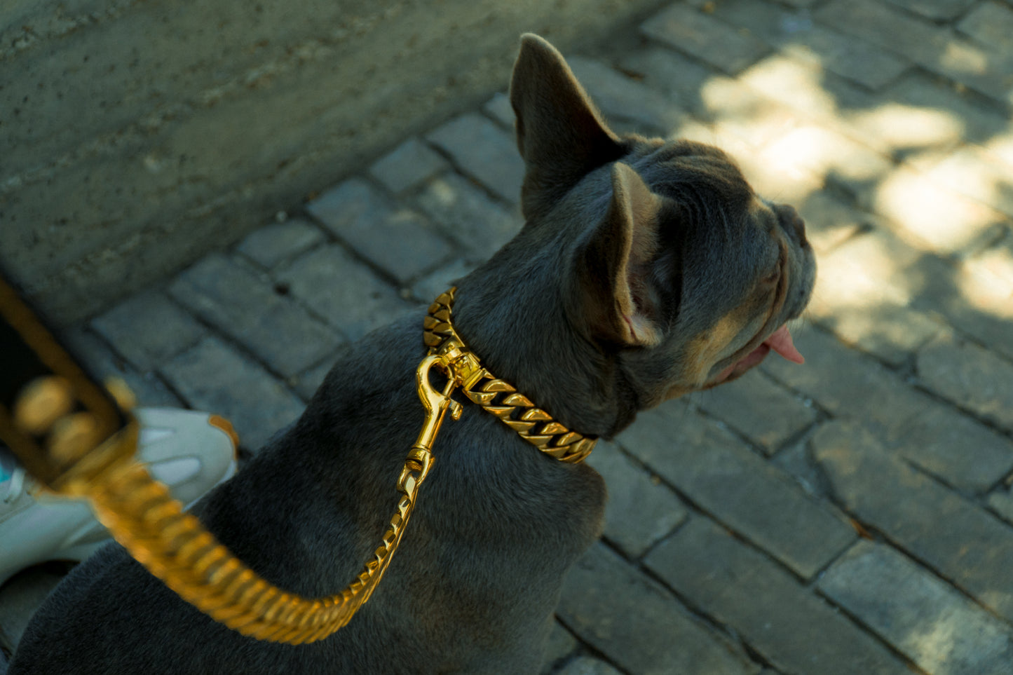 The Hermes |  Small Gold Cuban Link Collar